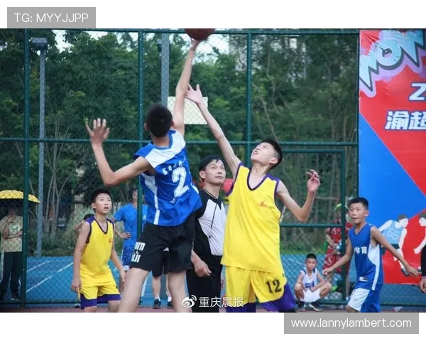 星空·体育网页登录入口：为体育爱好者提供的便捷登录入口全解析