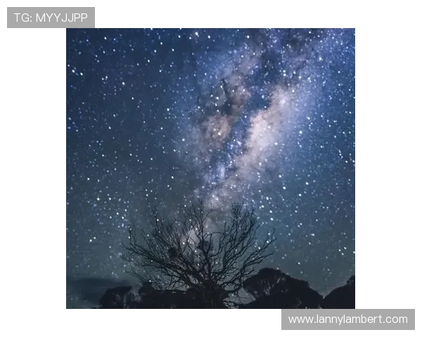 星空官网-首页：探索神秘星空的精彩世界与最新资讯