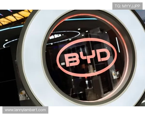 半岛体育官方客户端下载最新版下载地址，官方正版保障用户无后顾之忧