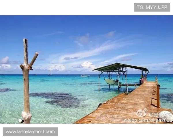 星空体育官网平台——多平台同步支持，确保随时随地都能轻松参与体育娱乐